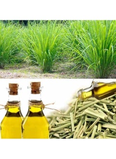 PARO OUD Undiluted Lemon Grass Oil 100% natural from Himalaya  - Image 4