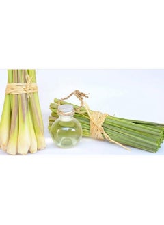 PARO OUD Undiluted Lemon Grass Oil 100% natural from Himalaya  - Image 5
