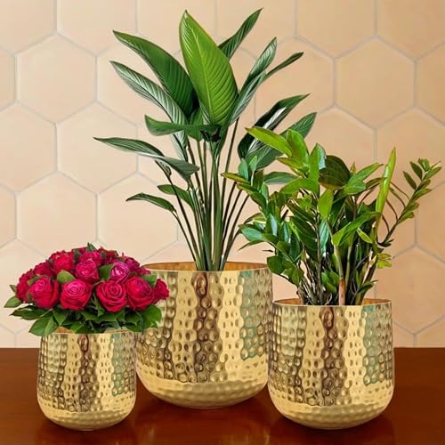 LAQA Aura Metal Planter Pots for Indoor Plants – Set of 3 Golden Electroplated Hammer Finish Pots in Different Sizes – Stylish Decorative Flower Vases for Living Room, Tabletop, Office & Home Décor - Image 1
