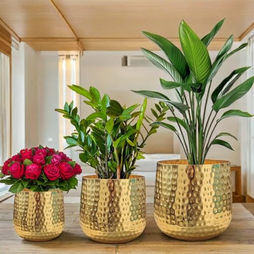 LAQA Aura Metal Planter Pots for Indoor Plants – Set of 3 Golden Electroplated Hammer Finish Pots in Different Sizes – Stylish Decorative Flower Vases for Living Room, Tabletop, Office & Home Décor - Image 5