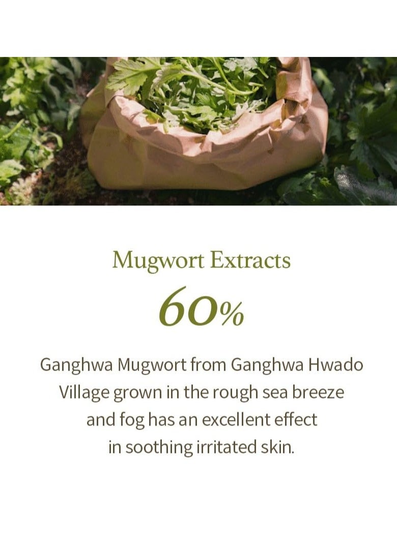 I'M FROM I'm from Mugwort Gel Cleanser 150ml, Mugwort 60%, Calming, Soothing, Mild low pH Korean Face Wash for Sensitive Skin, Irritated Skin, Herbal, Hypoallergenic, Vegan  - Image 3