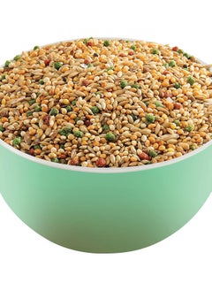 VERSELE LAGA Premium Budgies Food – 20KG – Enriched with Vitamins, Amino Acids & Minerals  - Image 2
