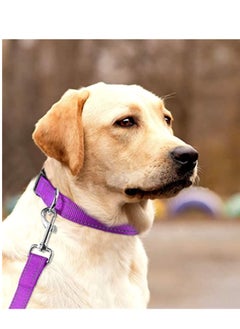 Y&D Reflective Dog Collar with Safety Locking Buckle Adjustable Nylon Pet Collars Quick Release for Small Medium and Large Dogs (Purple S)  - Image 2