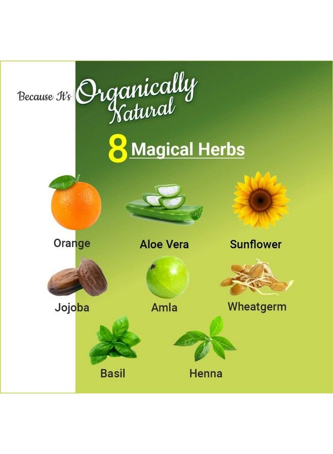 Indus Valley Damage Free Gel Hair Colour Trial Pack Black - Image 3