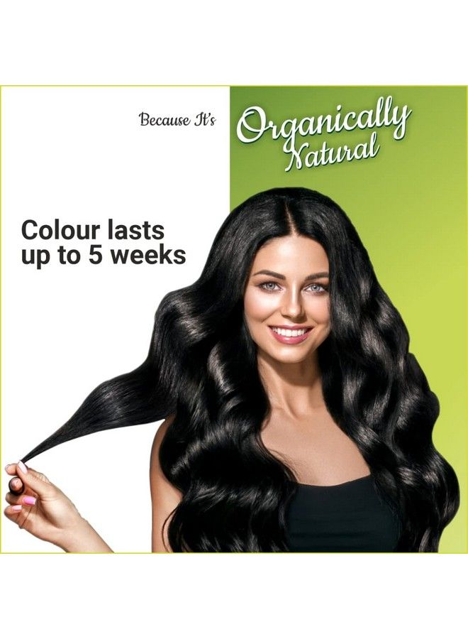 Indus Valley Damage Free Gel Hair Colour Trial Pack Black - Image 4