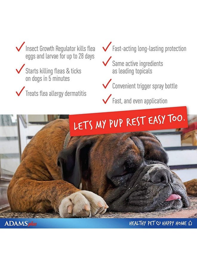 ADAMS Adams Flea & Tick Spray Plus Precor 16 oz - Pack of 3  - Image 3