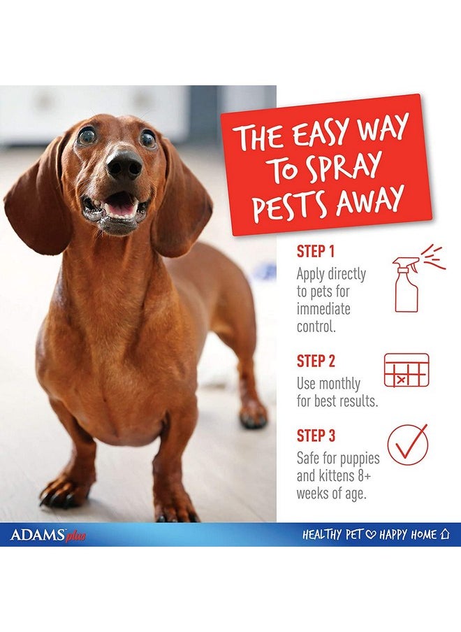 ADAMS Adams Flea & Tick Spray Plus Precor 16 oz - Pack of 3  - Image 4