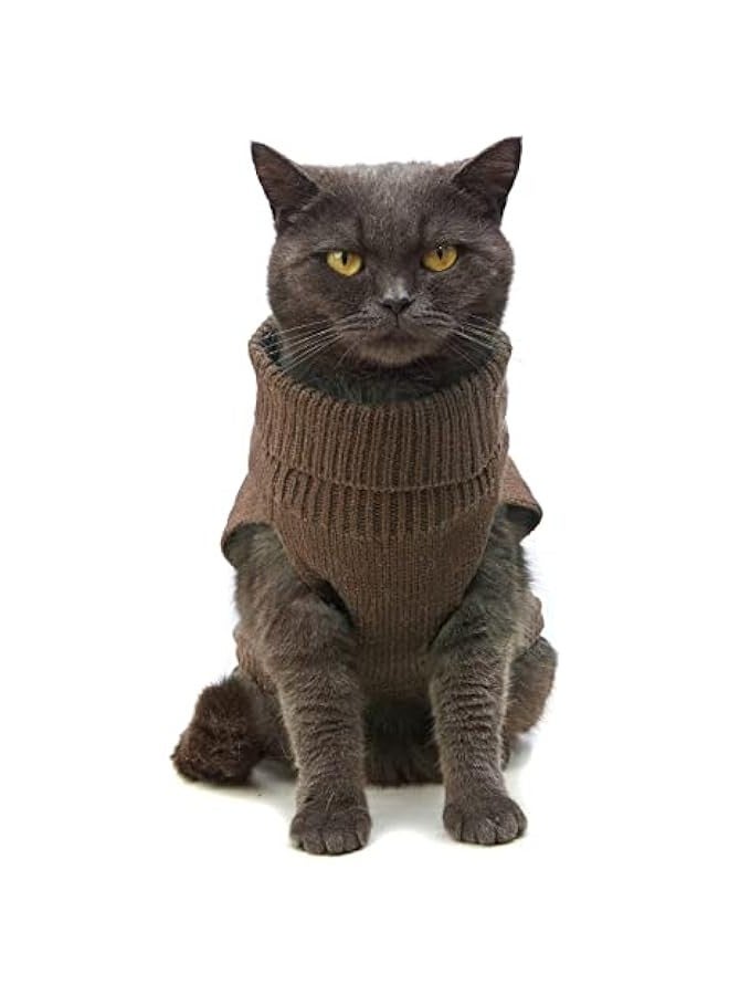 Artistic youth winter clothes cat clothes two-legged clothes warm winter hairless cat sweater - Image 1