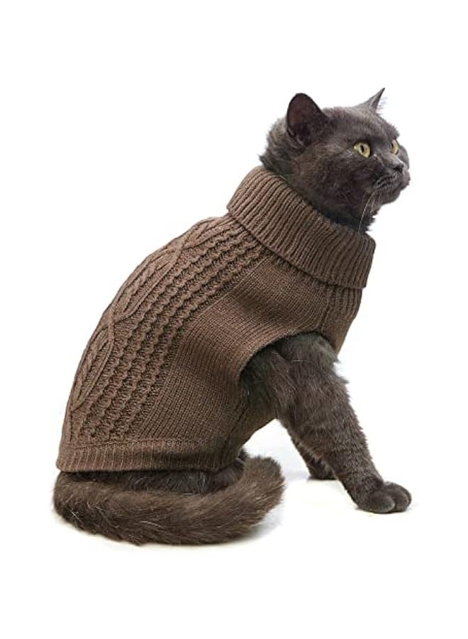 Artistic youth winter clothes cat clothes two-legged clothes warm winter hairless cat sweater - Image 2