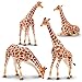 Toymany 4PCS Realistic Giraffe Figurines with Giraffe Cub 26 Plastic Jungle Animals Figures Family Playset Includes Baby Educational Toy Cake Toppers Christmas Birthday Gift for Kids - Image 3