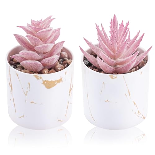 Der Rose Set of 2 Succulents Plants Artificial Mini Fake Succulents Plants for Office Desk Accessories for Women Pink Home Vanity Decor - Image 1