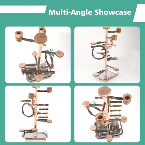 HOSUKKO Bird Playground Parrots Play Stand Wood Perches Stand Bird Gym Playpen Platform Ladder with Feeder Cups for Cockatiels Budgies Lovebirds Brown - Image 3