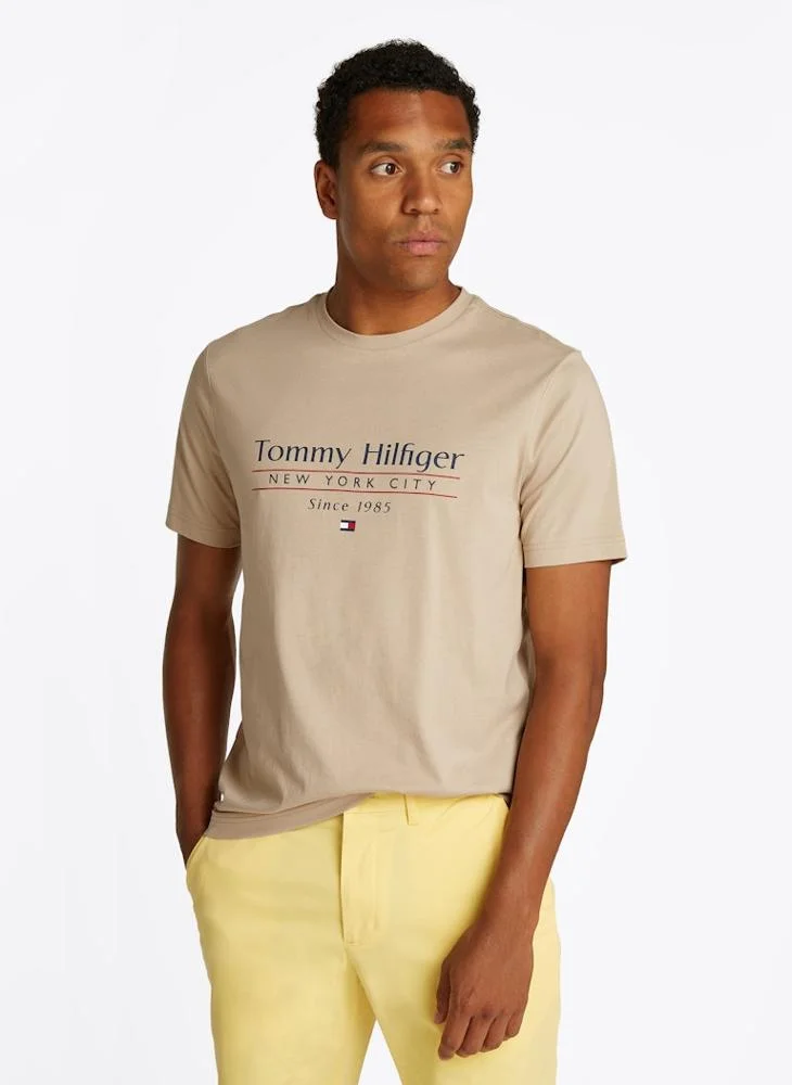 TOMMY HILFIGER Logo Crew Neck T-Shirt