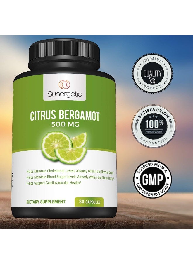 Sunergetic Citrus Bergamot 500 MG Dietary Supplement - Image 5