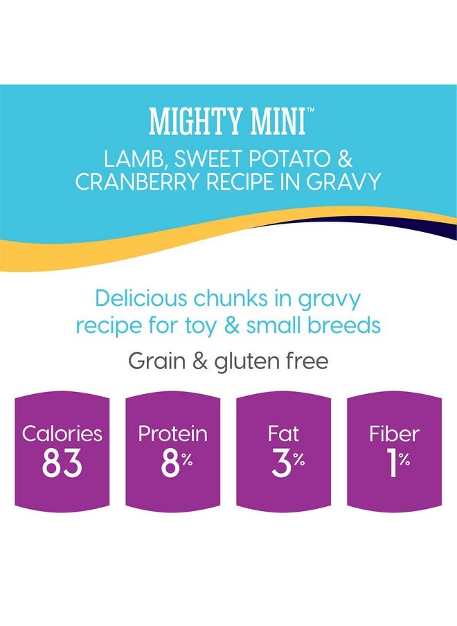 solid gold - Solid Gold Wet Dog Food for Small Dogs - Mighty Mini Grain Free Wet Dog Food Made with Real Lamb - for Puppies, Adult & Senior Small Breeds with Sensitive Stomachs - Image 1
