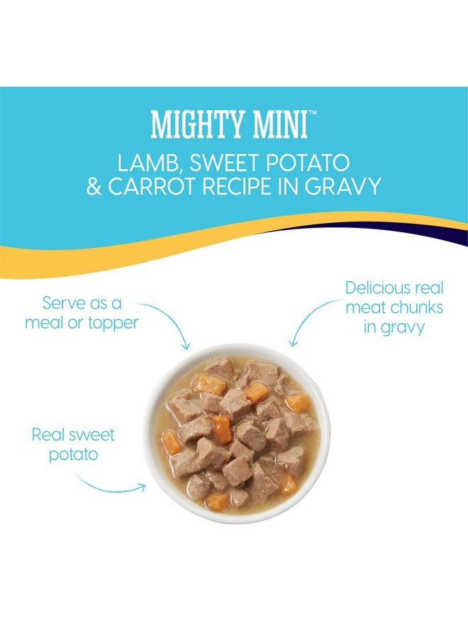 solid gold - Solid Gold Wet Dog Food for Small Dogs - Mighty Mini Grain Free Wet Dog Food Made with Real Lamb - for Puppies, Adult & Senior Small Breeds with Sensitive Stomachs - Image 1