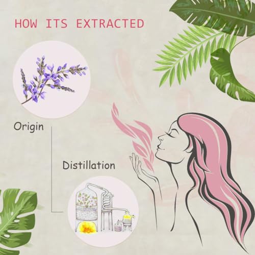 AOPING Violet Essential Oil - 100% Pure Organic Natural Plant (Viola odorata) Violet Oil for Diffuser, Aroma, Spa, Massage, Yoga, Perfume, 0.33oz - Image 3