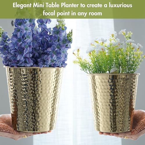 BEHOMA Metal Hammered Golden Table top Planters for Home Decoration, Plant Pots for Home Living Room Bedroom Office Decor, Set of 2 (Plants not Included) - Image 2