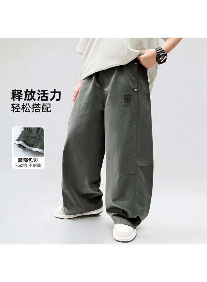 Bumblebee Boys' Pants Summer New Arrival, Kids' Cargo Pants For Big Boys, Loose Wide-leg Summer Mosquito-proof Trousers Trendy - Image 2