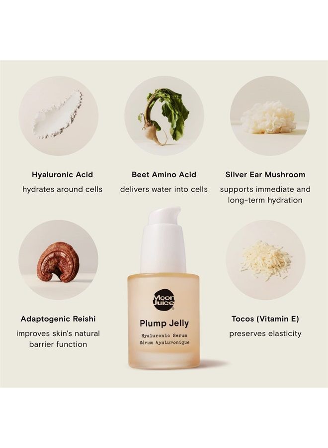 Moon Juice Plump Jelly Hyaluronic Acid Serum for Face | Skin Serum for Hydration, Elasticity & Bounce | Hyaluronic Acid, Peptides & Mushrooms | Clean, Vegan, Cruelty-Free | 30ml (1 fl oz) - Image 3