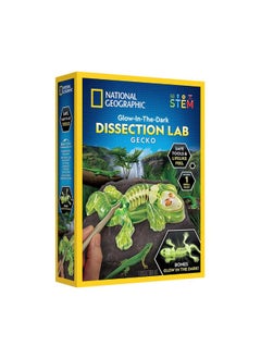 NATIONAL GEOGRAPHIC National Geographic Glow-in-the-Dark Gecko Dissection Lab Kit  - Image 1