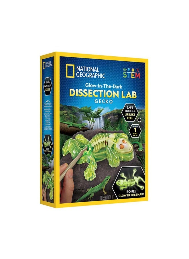 NATIONAL GEOGRAPHIC National Geographic Glow-in-the-Dark Gecko Dissection Lab Kit  - Image 1
