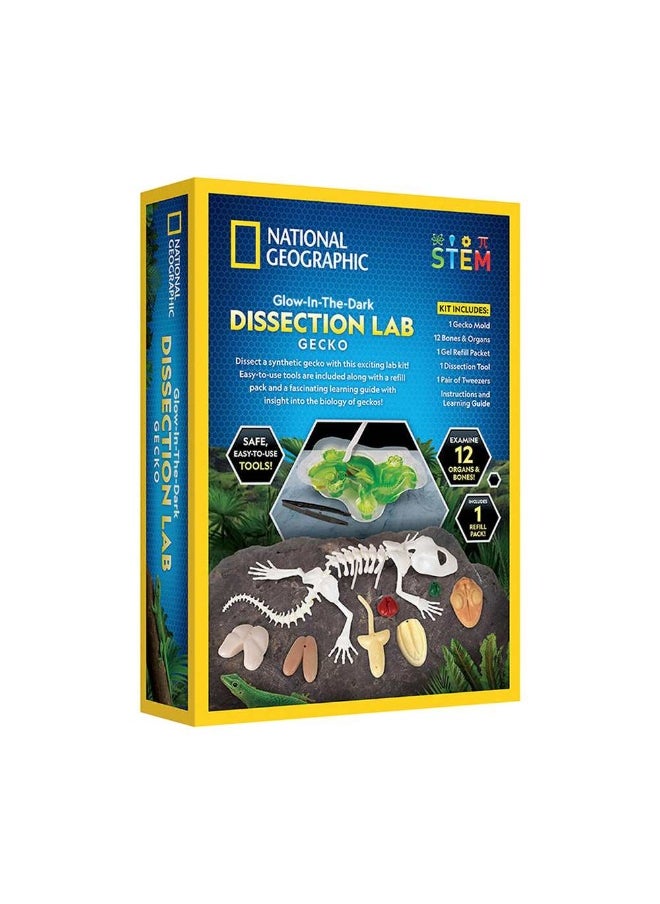 NATIONAL GEOGRAPHIC National Geographic Glow-in-the-Dark Gecko Dissection Lab Kit  - Image 2