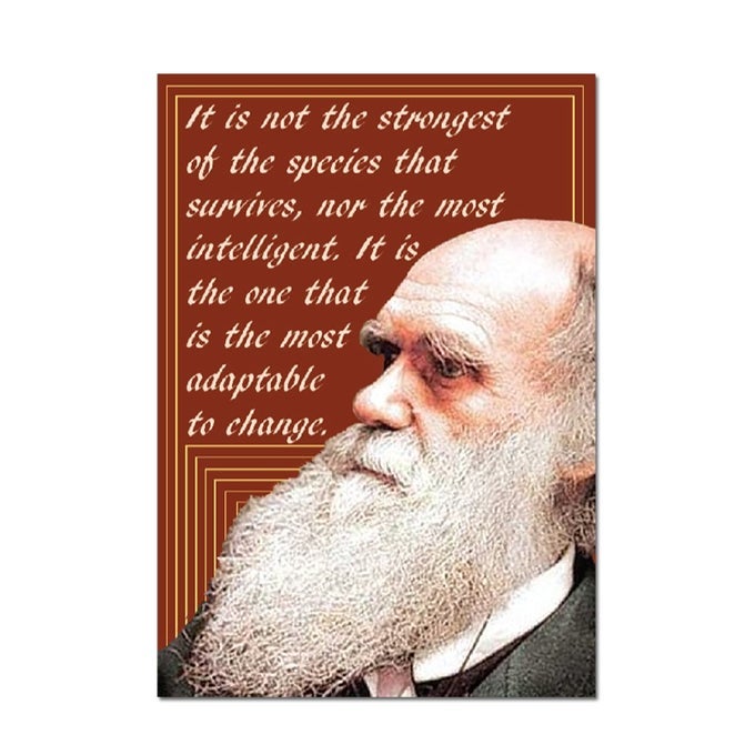 IT IS NOT THE STRONGEST OR MOST INTELLIGENT THAT SURVIVE BUT THE MOST ADAPTABLE REFRIGERATOR MAGNET 3 X 2