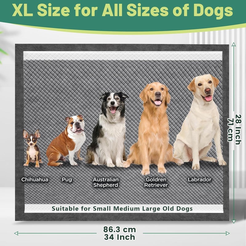 Gimars XL 28"x34" 6-Layer Ultra Abolsorbent Charcoal Pee Pads for Dogs, Leak-Proof Carbon Dog Puppy Pads, Odor-Control & Quick Dry Dog Training Pads 30 Counts - Image 5