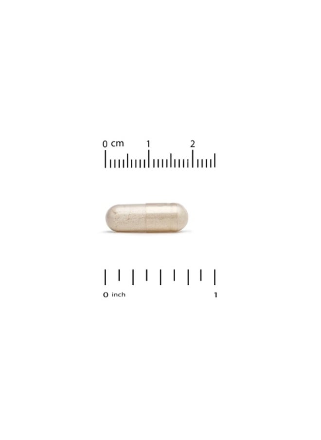 California Gold Nutrition LactoBif® 30 Probiotics, 30 Billion CFU, 60 Veggie Capsules  - Image 3