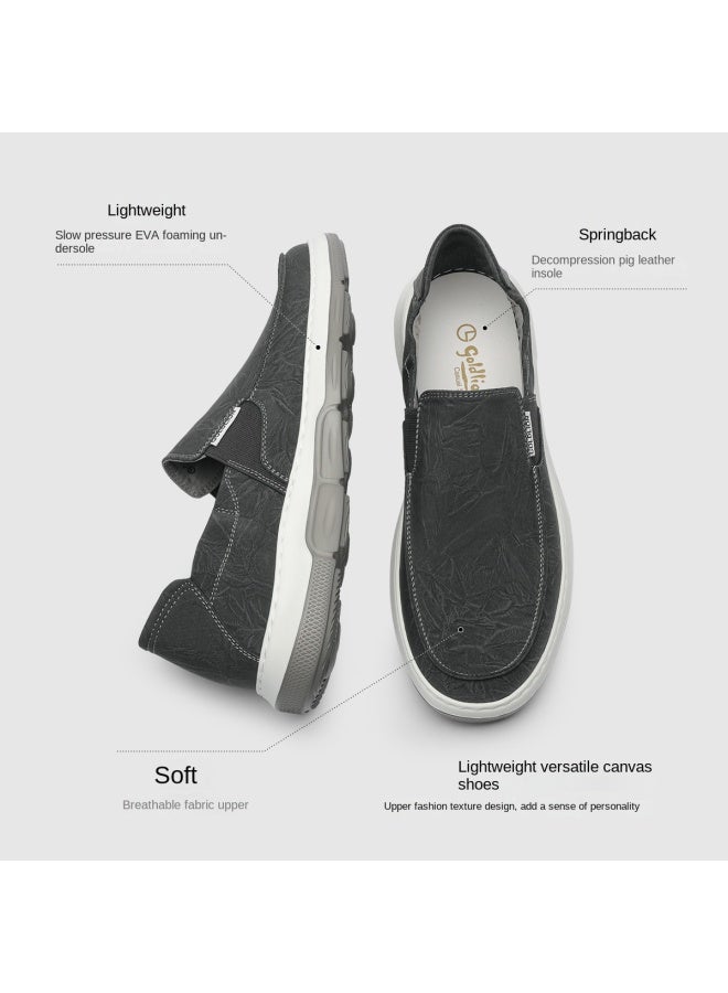 Goldlion Men's Gifts, Men's Shoes, Autumn Lazy Loafers, Men's Canvas Slip-ons, Minimalist One-step Design, Lightweight Men's Casual Shoes - Image 3