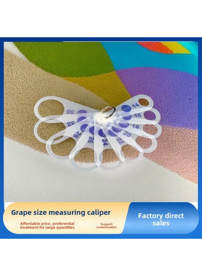 Cherry Standard Measuring Ruler Fruit Diameter Fresh Fruit Grading Grape Blueberry Size Measuring Grade Cherry Grading Ruler-Model:Blueberry [long 4 Holes]