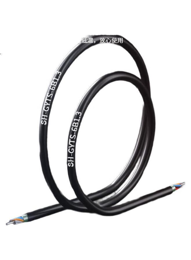 Suhao Gyts Outdoor Optical Cable, Telecom-Grade National Standard Optical Cable, 6-Core Optical Cable 1 Meter, Layer-Braided Single-Mode Armored Optical Cable, 6-Core Outdoor Fiber Optic Cable Gyts - Image 3