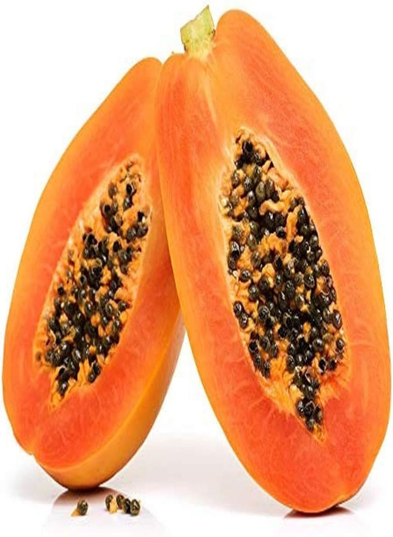 جي جوت 25 قطعة من بذور البابايا الذهبية الصفراء، فاكهة طازجة ذات رائحة فريدة من نوعها، بذور شجرة الفاكهة الاستوائية لزراعة المنزل والحديقة والفناء الخارجي والمزرعة - Image 1