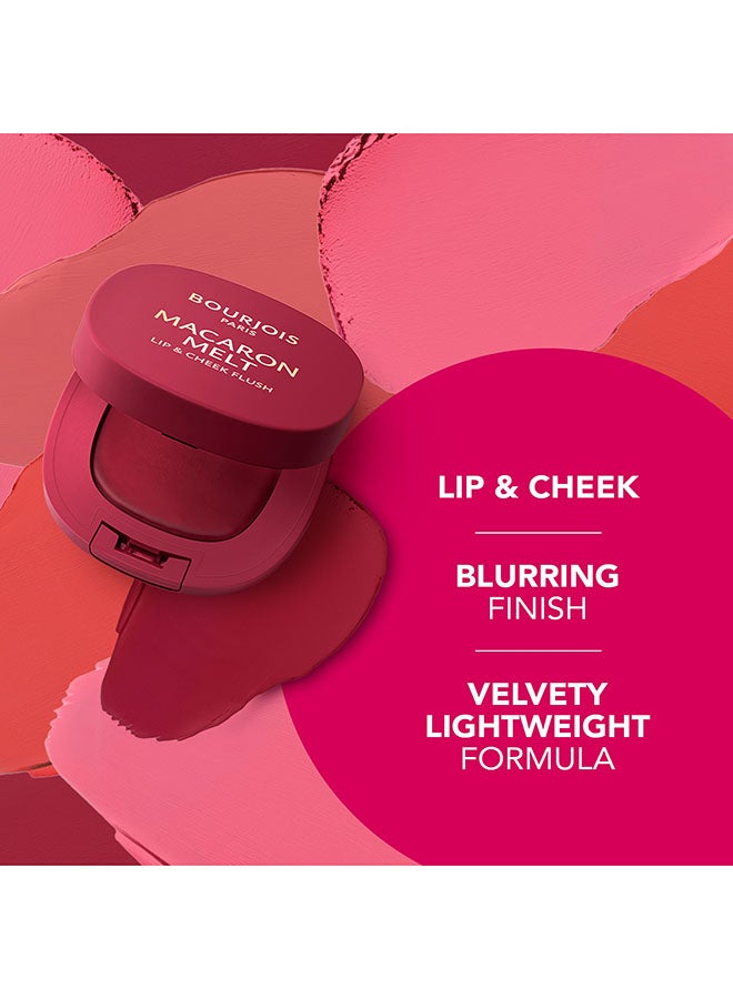 BOURJOIS PARIS ماكارون ميلت ليف و تشيك فلاش - 5 - بيري سموذي، 8غ - Image 4