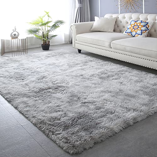 CAIYUECS Shag Area Rug,Indoor Ultra Soft Fluffy Plush Rugs for Bedroom Living Room, Non-Skid Modern Nursery Faux Fur Rugs for Kids Room Home Decor (Tie-Dyed Light Gray, 5x7 Feet) - Image 1