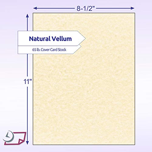 NextDayLabels - Pack of 50 Sheets - 8-1/2" x 11" (Letter Size) 65 lb. Parchment Cover Card Stock (Natural) - Image 2
