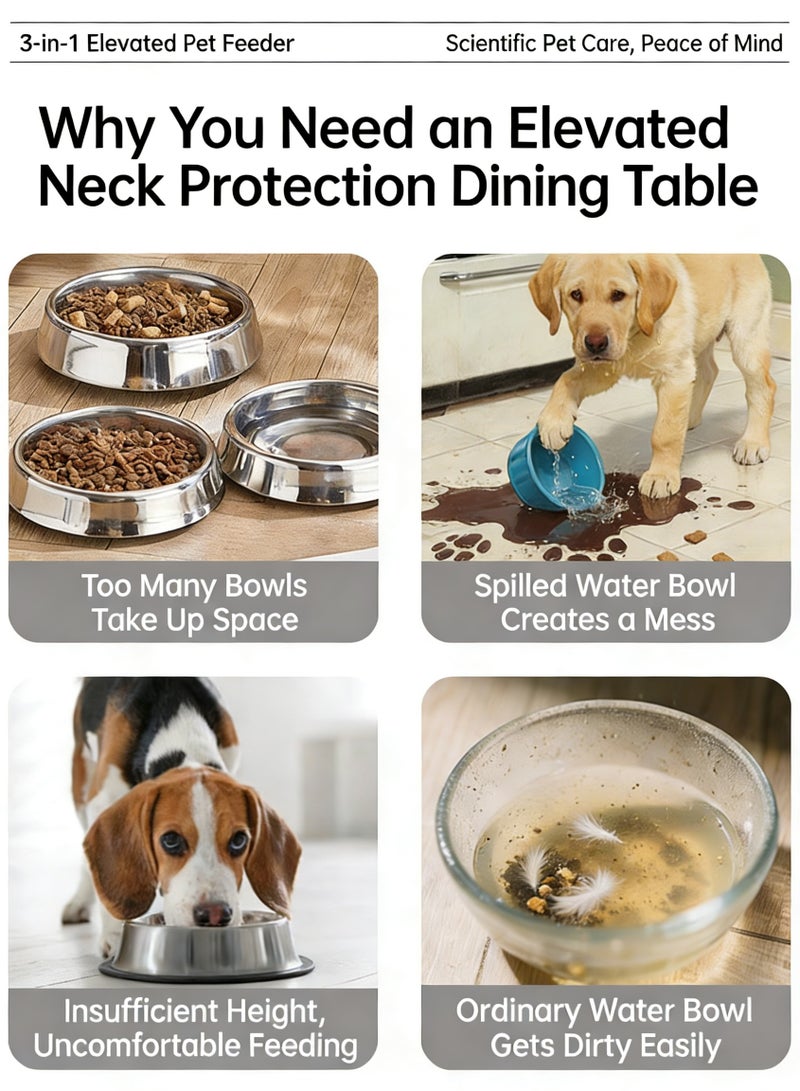 Ding Zap 2-in-1 Dogs Cats Stainless Steel Feeder  Water Bowl Food Bowls - Image 4