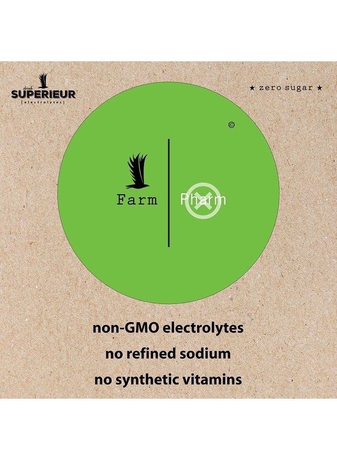 Superieur الإلكتروليتات – مكمل إلكتروليتات نباتي مع معادن البحر للترطيب والتعافي – مناسب للكيتو، غير معدّل وراثيًا، خالي من السكر، نباتي، مسحوق مشروب رياضي صحي – ليمون توت بري (70 حصة) - Image 4