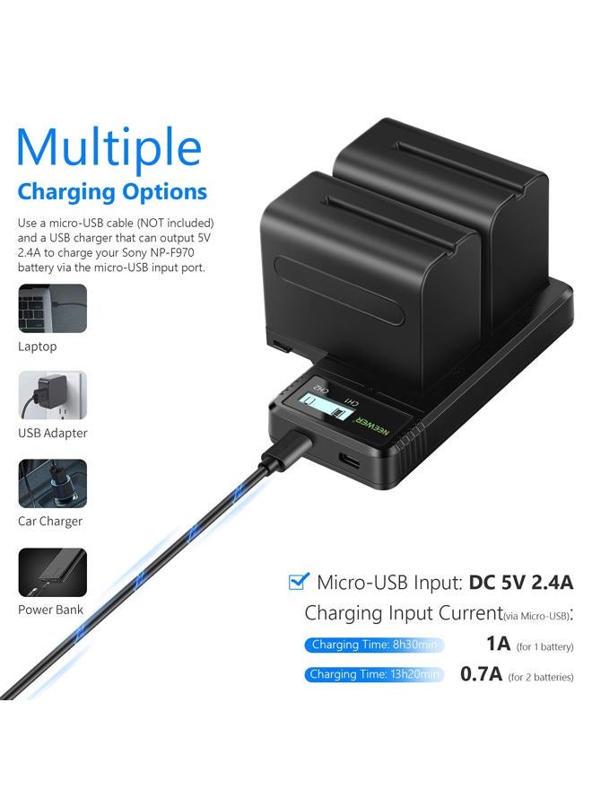Neewer Dual USB Fast Charger with 2 x 6600mAh NP-F970 Replacement Batteries, Compatible with Sony NP-F970 NP-F960 NP-F950 NP-F930 NP-F570 NP-F550 NP-F530 NP-F330 Battery and Sony Handycam - Image 5