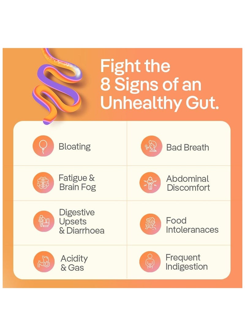 The Good Bug Gut Balance SuperGut Stick for Gut Health, Strong Digestion And Immunity Probiotics, Inulin With Vitamin C For Men And Women - 15 Days Pack  - Image 3