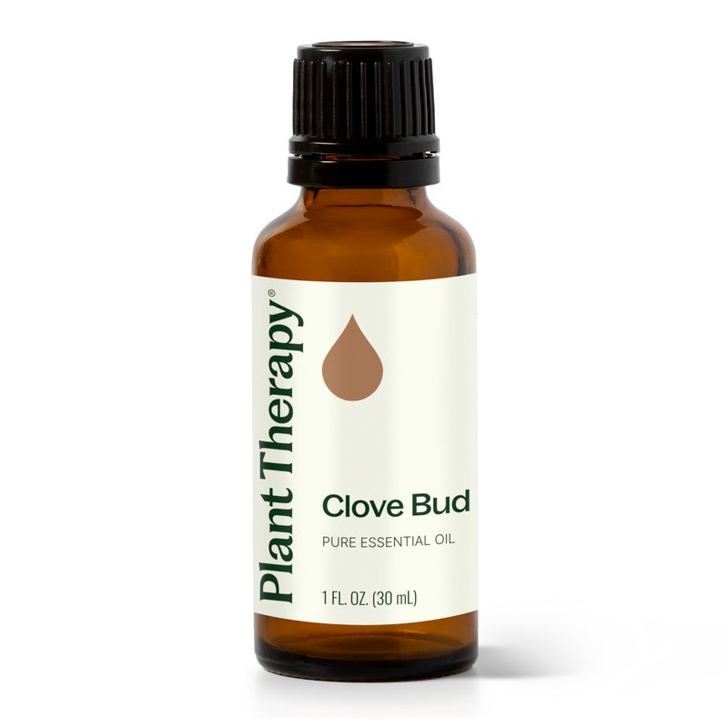 Plant Therapy Clove Bud Essential Oil 30 mL 1 oz 100 Pure Undiluted Natural Aromatherapy Immune Support Sore Muscle Joint Relief - Image 2
