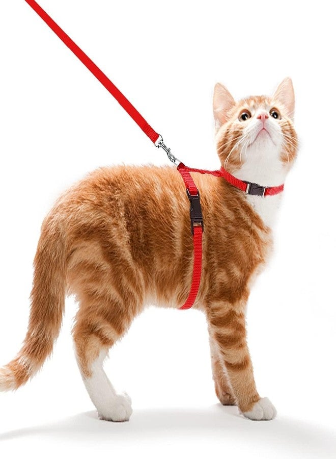 RoverPets طقم حزام ومقود قابل للتعديل من النايلون للقطط من روفر بيتس - طوق ناعم مع مقود تدريب للقطط والقطط الصغيرة والأرانب والحيوانات الأليفة الصغيرة - معدات مريحة وآمنة للمشي في الهواء الطلق (أحمر) - Image 1