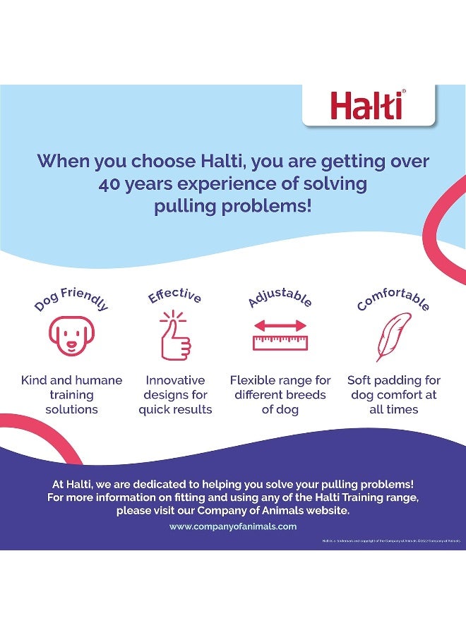 Company of Animals COA HTL Training Lead Black- Large - Image 5