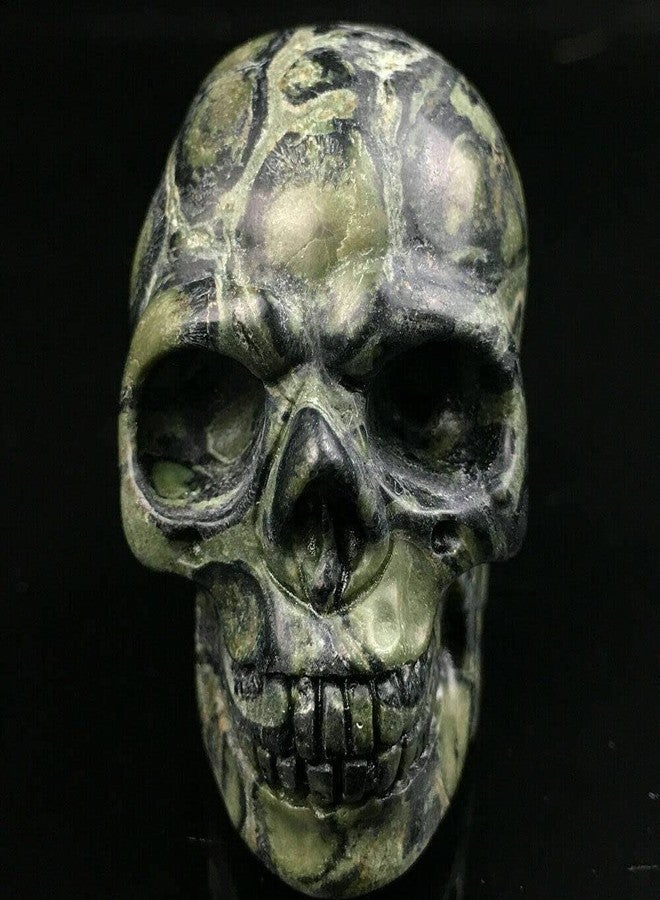 TEAMWILL 2" Natural Kambaba Jasper Quartz Crystal Carved Skull Halloween Powerful Gift 1PC - Image 3