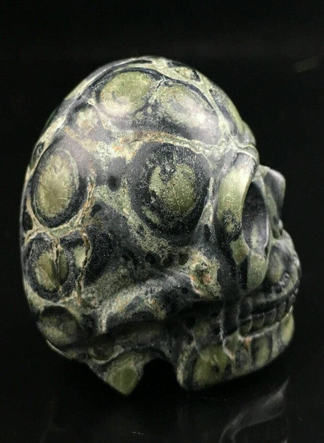 TEAMWILL 2" Natural Kambaba Jasper Quartz Crystal Carved Skull Halloween Powerful Gift 1PC - Image 5