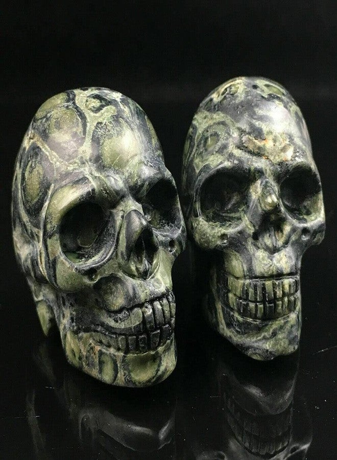 TEAMWILL 2" Natural Kambaba Jasper Quartz Crystal Carved Skull Halloween Powerful Gift 1PC - Image 4