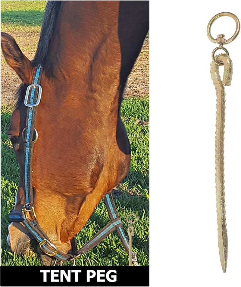 Amosfun Galvanized Spiral Ground Anchor Heavy Duty Metal Stake with Swivel Hook 30cm Camping Canopy Stake for Outdoor Dog Tie and Tent Anchoring - Image 2