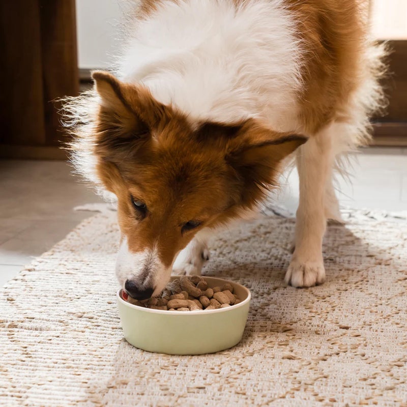 Open Farm Freeze Dried Raw Dog Food, Humanely Raised Meat Recipe with Non-GMO Superfoods and No Artificial Flavors or Preservatives (3.5 Ounce (Pack of 1), Grass Fed Beef Recipe) - Image 3