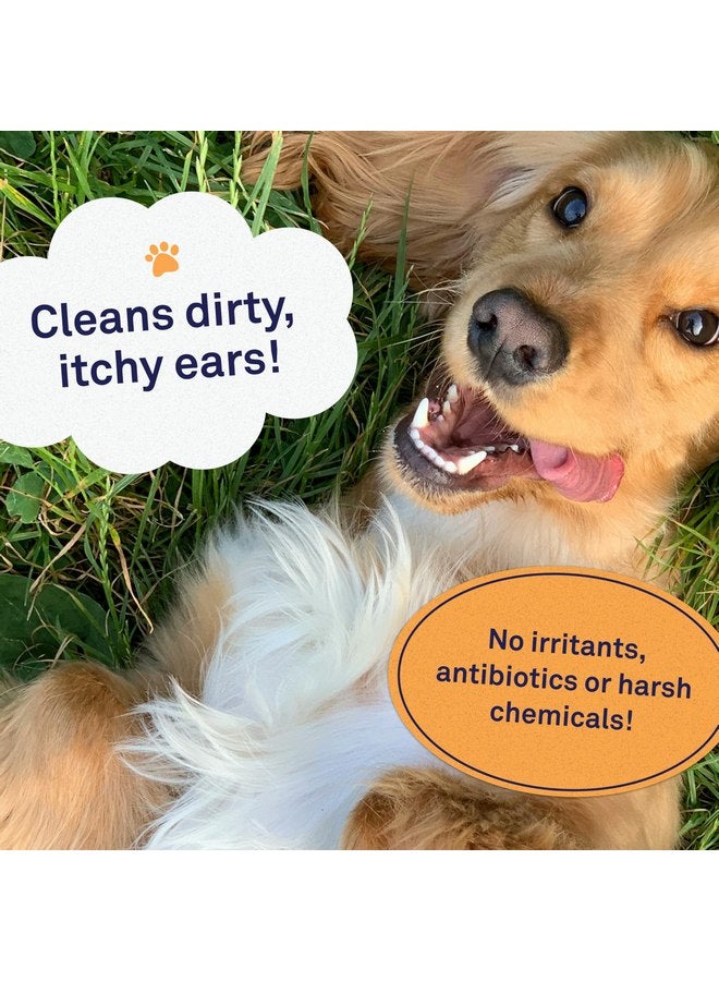 Petpost | Large Dog Ear Cleaner Wipes - Ultra Soft XL Cotton Pads in Coconut Oil Aloe Solution - Remedy for Dog Ear Rinse & Cleanser 60 ct. - Image 2